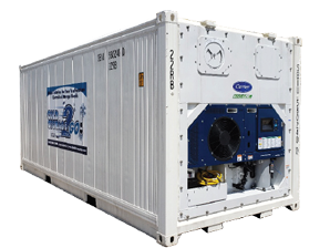 20’ Refrigerated Container