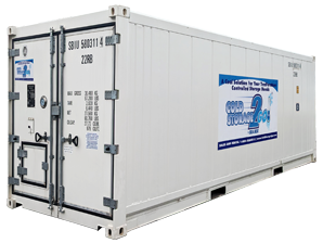 Refrigerated / Freezer Containers